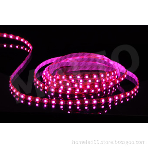 led strip lights 12v
